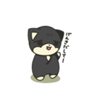 シバかりの日常スタンプ(黒柴ver.)（個別スタンプ：24）