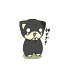 シバかりの日常スタンプ(黒柴ver.)（個別スタンプ：25）