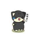 シバかりの日常スタンプ(黒柴ver.)（個別スタンプ：27）