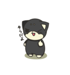 シバかりの日常スタンプ(黒柴ver.)（個別スタンプ：30）
