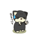 シバかりの日常スタンプ(黒柴ver.)（個別スタンプ：34）