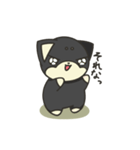 シバかりの日常スタンプ(黒柴ver.)（個別スタンプ：36）