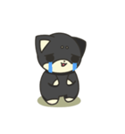シバかりの日常スタンプ(黒柴ver.)（個別スタンプ：40）