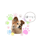 王子くん 最新（個別スタンプ：2）