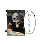 王子くん 最新（個別スタンプ：5）