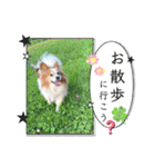 王子くん 最新（個別スタンプ：7）