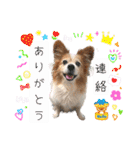 王子くん 最新（個別スタンプ：8）