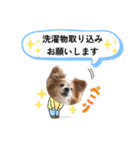 王子くん 最新（個別スタンプ：10）