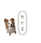 王子くん 最新（個別スタンプ：14）