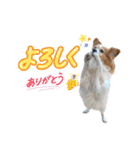 王子くん 最新（個別スタンプ：15）