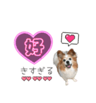 王子くん 最新（個別スタンプ：16）