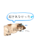 王子くん 最新（個別スタンプ：18）