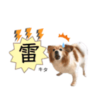 王子くん 最新（個別スタンプ：19）