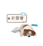王子くん 最新（個別スタンプ：21）