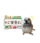 王子くん 最新（個別スタンプ：24）