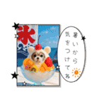 王子くん 最新（個別スタンプ：31）