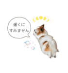 王子くん 最新（個別スタンプ：36）