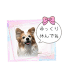 王子くん 最新（個別スタンプ：37）
