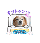 王子くん 最新（個別スタンプ：39）