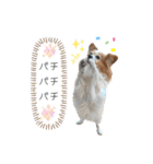 王子くん 最新（個別スタンプ：40）