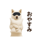 白芝(日常)（個別スタンプ：2）