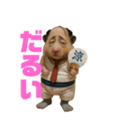 ハムハムの日常5（個別スタンプ：4）
