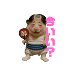 ハムハムの日常5（個別スタンプ：5）