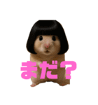 ハムハムの日常5（個別スタンプ：16）