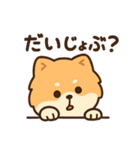 会計士試験 答練D判定 ポメラニアン（個別スタンプ：5）