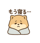 会計士試験 答練D判定 ポメラニアン（個別スタンプ：15）