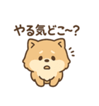 会計士試験 答練D判定 ポメラニアン（個別スタンプ：16）