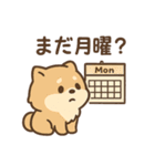 会計士試験 答練D判定 ポメラニアン（個別スタンプ：17）