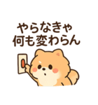 会計士試験 答練D判定 ポメラニアン（個別スタンプ：20）