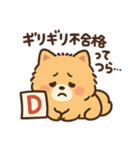 会計士試験 答練D判定 ポメラニアン（個別スタンプ：21）