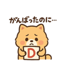 会計士試験 答練D判定 ポメラニアン（個別スタンプ：22）