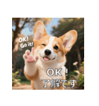 感情ゆたか！コーギー子犬スタンプ（個別スタンプ：1）