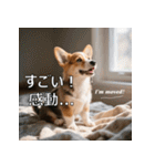 感情ゆたか！コーギー子犬スタンプ（個別スタンプ：4）