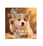感情ゆたか！コーギー子犬スタンプ（個別スタンプ：5）