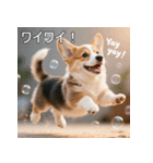 感情ゆたか！コーギー子犬スタンプ（個別スタンプ：10）
