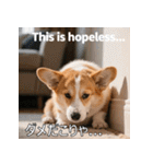 感情ゆたか！コーギー子犬スタンプ（個別スタンプ：14）