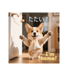 感情ゆたか！コーギー子犬スタンプ（個別スタンプ：29）