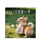 感情ゆたか！コーギー子犬スタンプ（個別スタンプ：30）