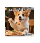 感情ゆたか！コーギー子犬スタンプ（個別スタンプ：31）