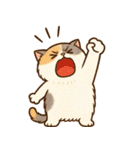 エキゾチックにかわいい猫スタンプ（個別スタンプ：3）