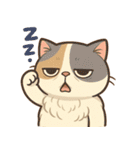エキゾチックにかわいい猫スタンプ（個別スタンプ：4）