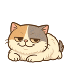 エキゾチックにかわいい猫スタンプ（個別スタンプ：5）