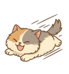 エキゾチックにかわいい猫スタンプ（個別スタンプ：8）