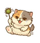 エキゾチックにかわいい猫スタンプ（個別スタンプ：11）