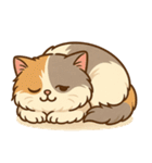 エキゾチックにかわいい猫スタンプ（個別スタンプ：16）