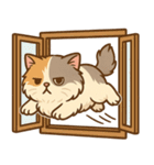 エキゾチックにかわいい猫スタンプ（個別スタンプ：17）